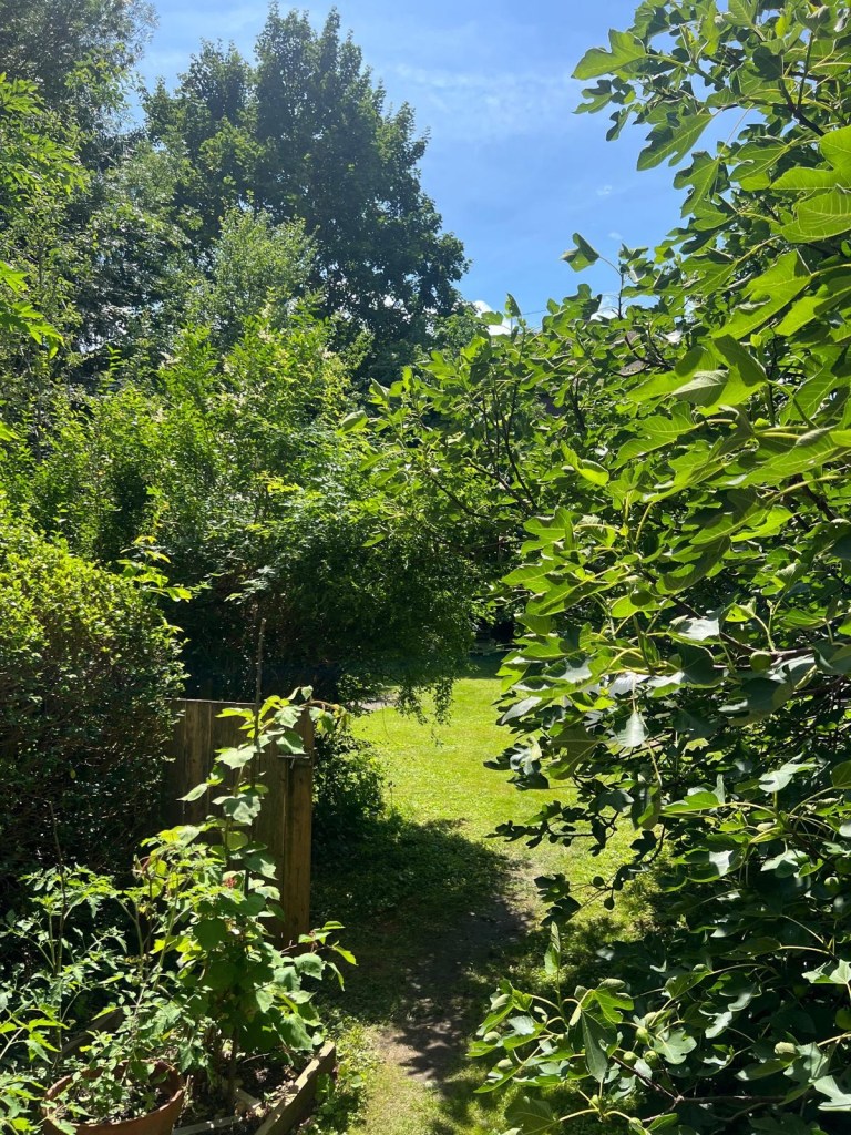 Big sunny private garden 